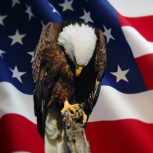 Fundraising Page: Anthony  Worley